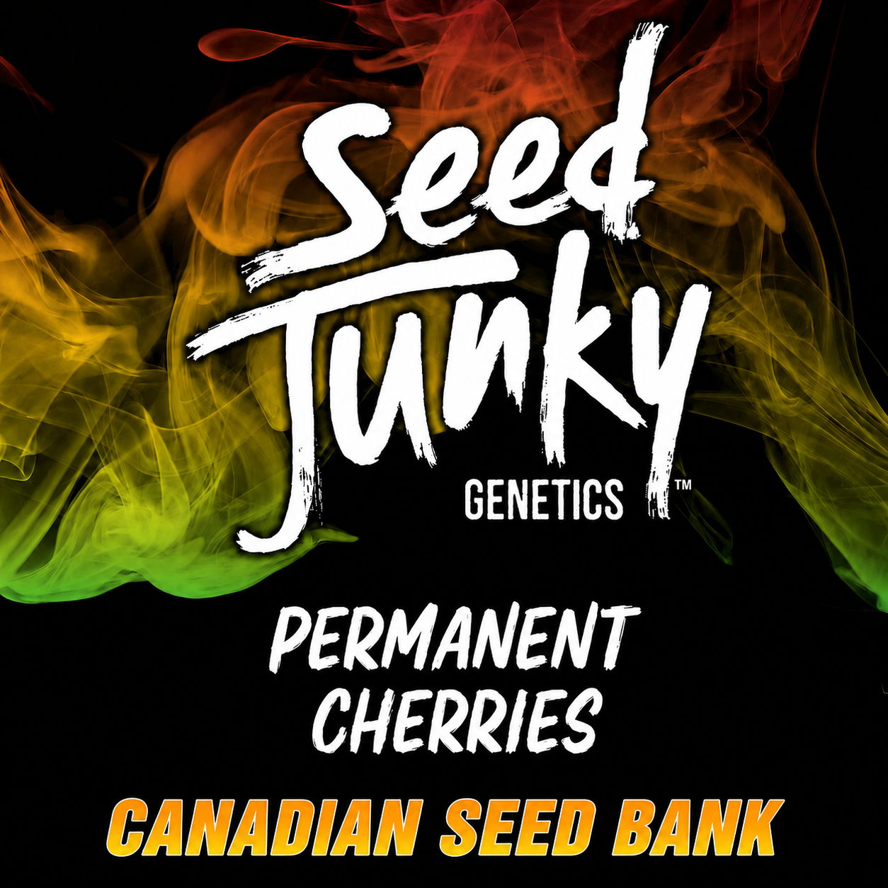 Buy Permanent Cherries Hybrid Cannabis Seeds By Seed Junky Genetics