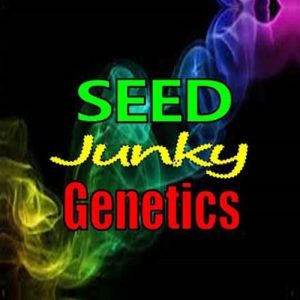 Buy Alien Mints x Permanent Marker cannabis seeds by Seed Junky Genetics