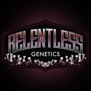 Tropical Sorbet By Relentless Genetics