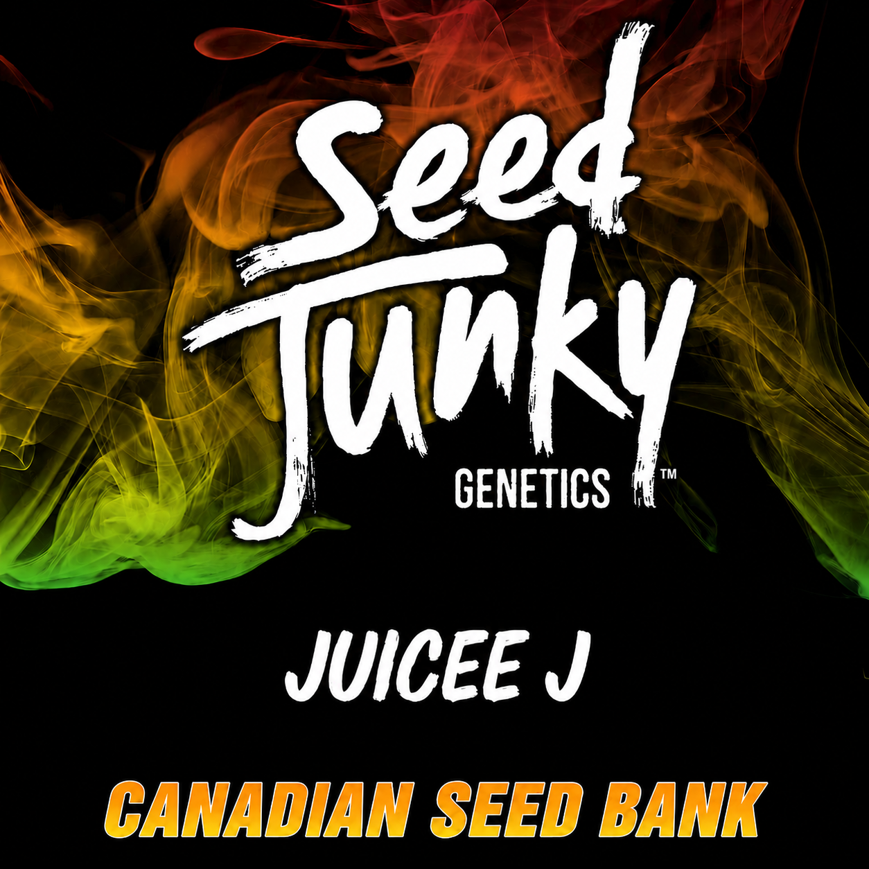 Buy Juicee J Cannabis Seeds By Seed Junky Genetics