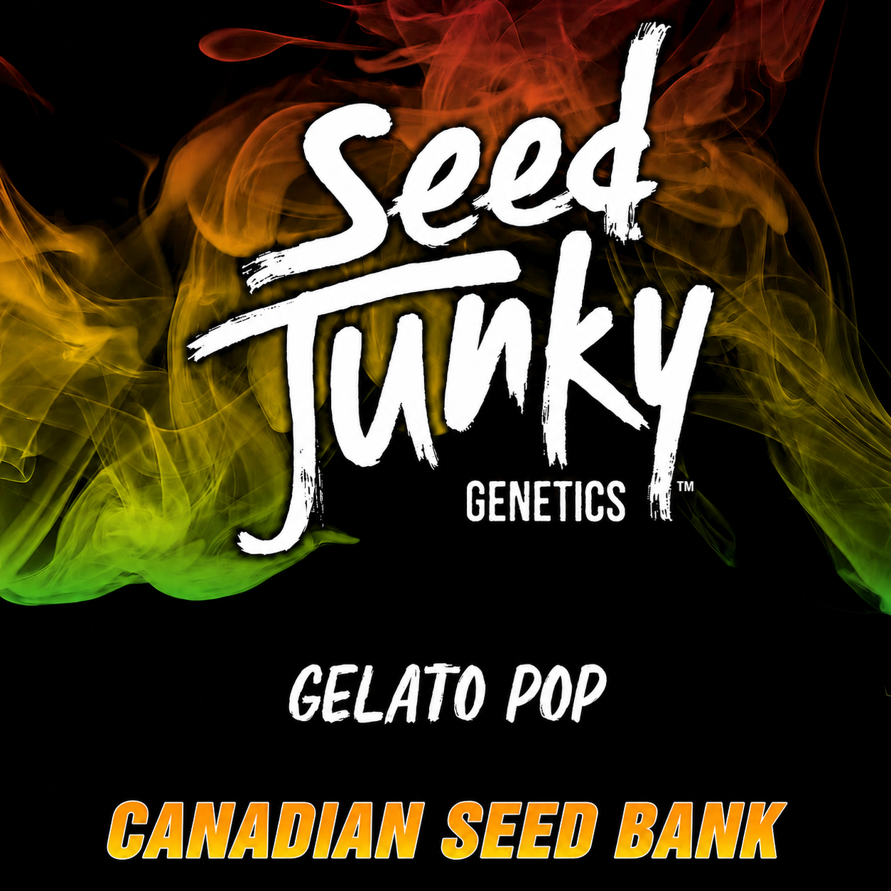 Buy Gelato Pop Hybrid Seeds By Seed Junky Genetics