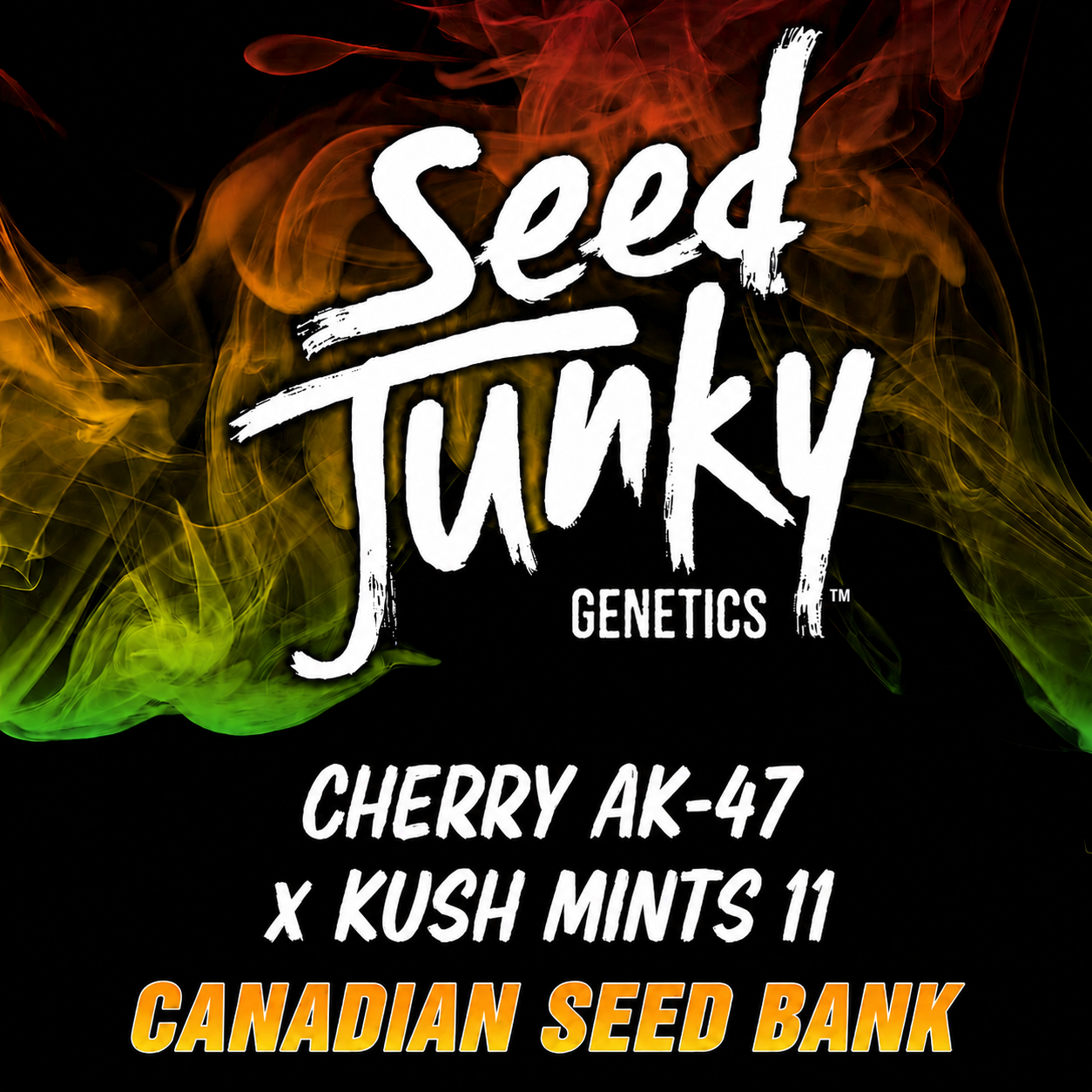 Buy Cherry AK-47 x Kush Mints 11 cannabis seeds by Seed Junky Genetics