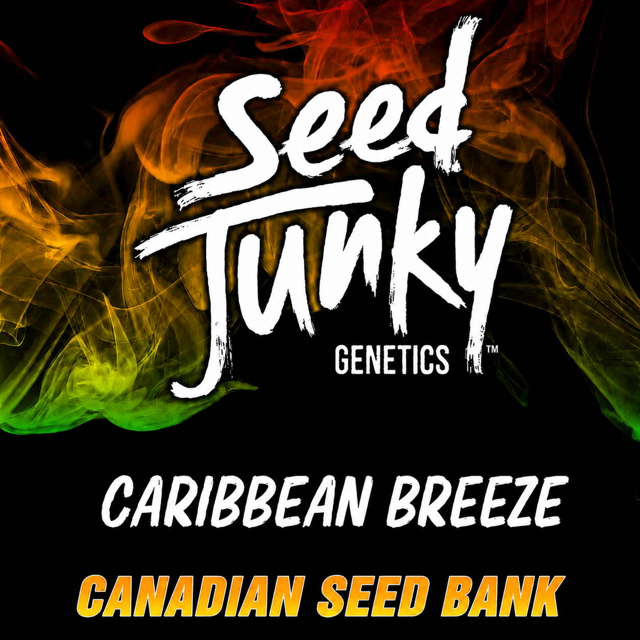 Caribbean Breeze by Seed Junky Genetics