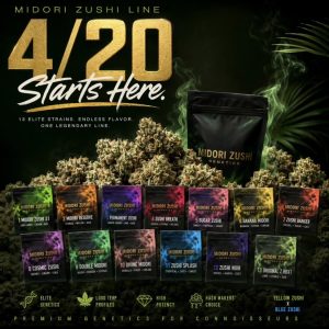 Banana Midori Feminized Seeds – In House Genetics