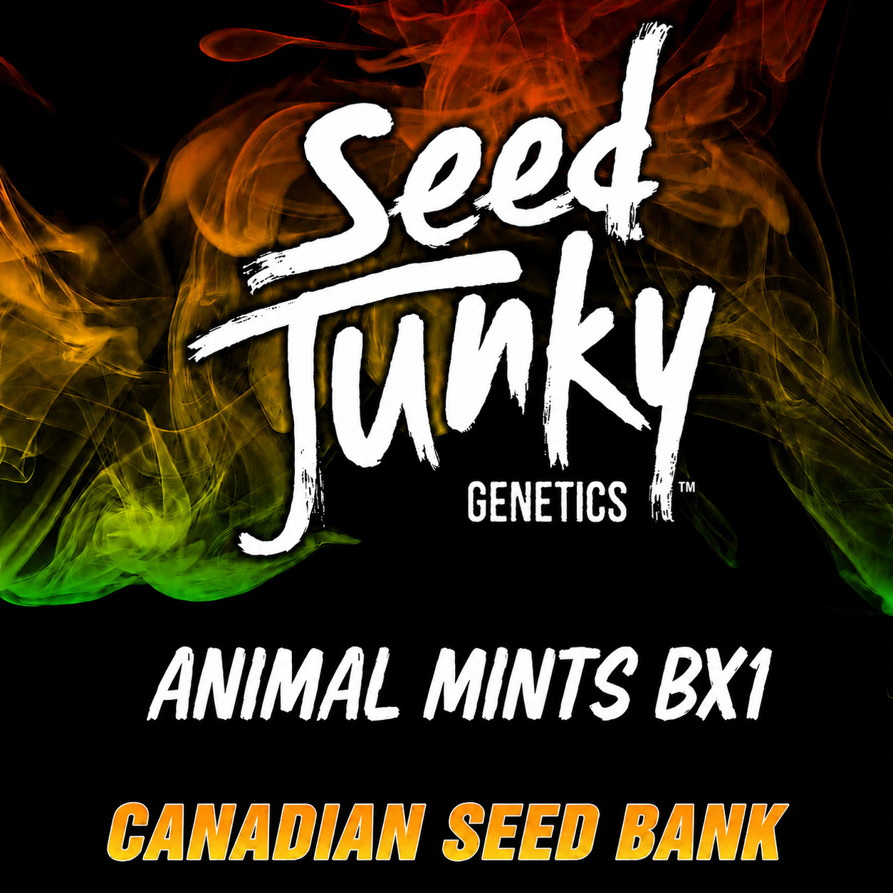Buy Animal Mints Bx1 cannabis seeds by Seed Junky Genetics