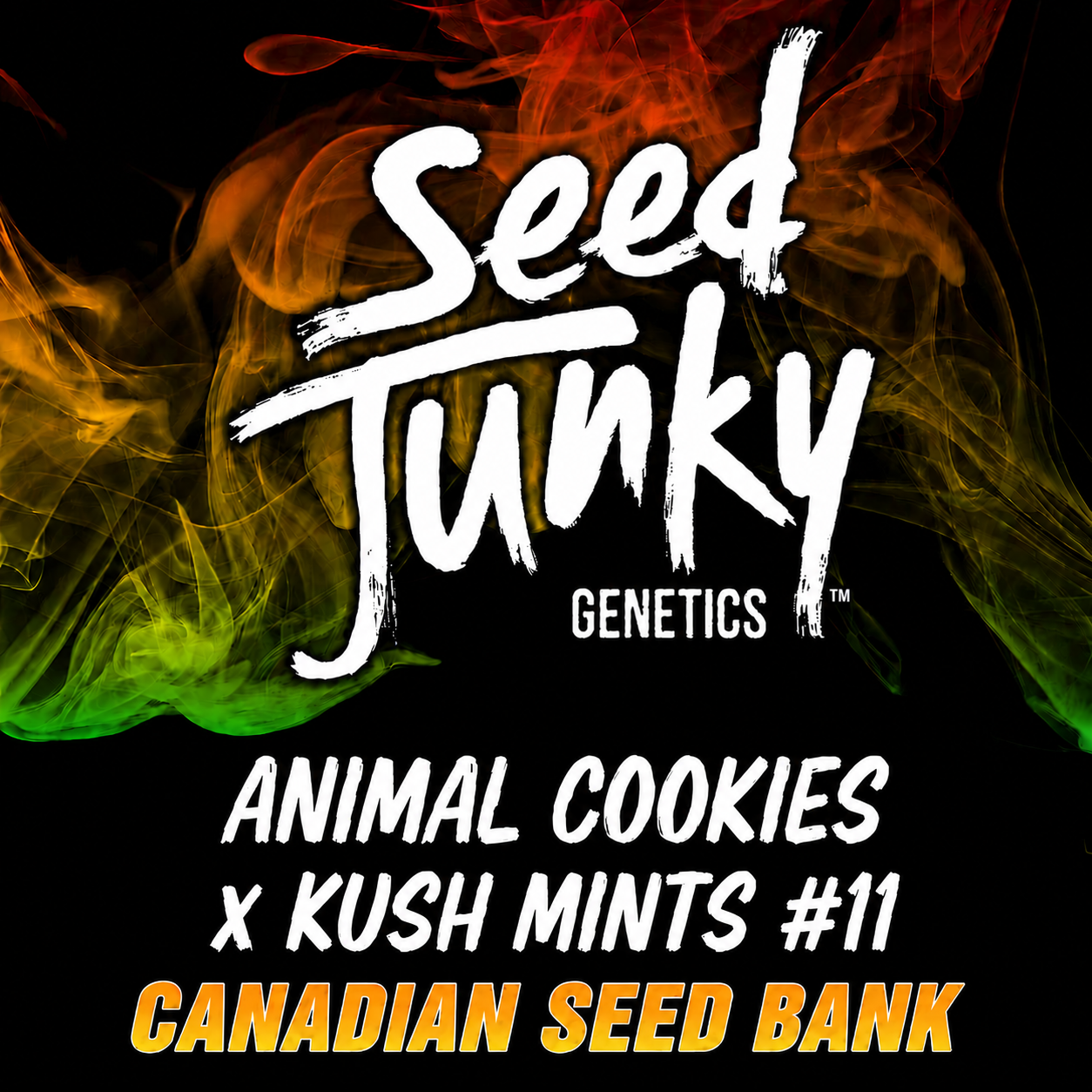 Animal Cookies x Kush Mints #11 by Seed Junky Genetics