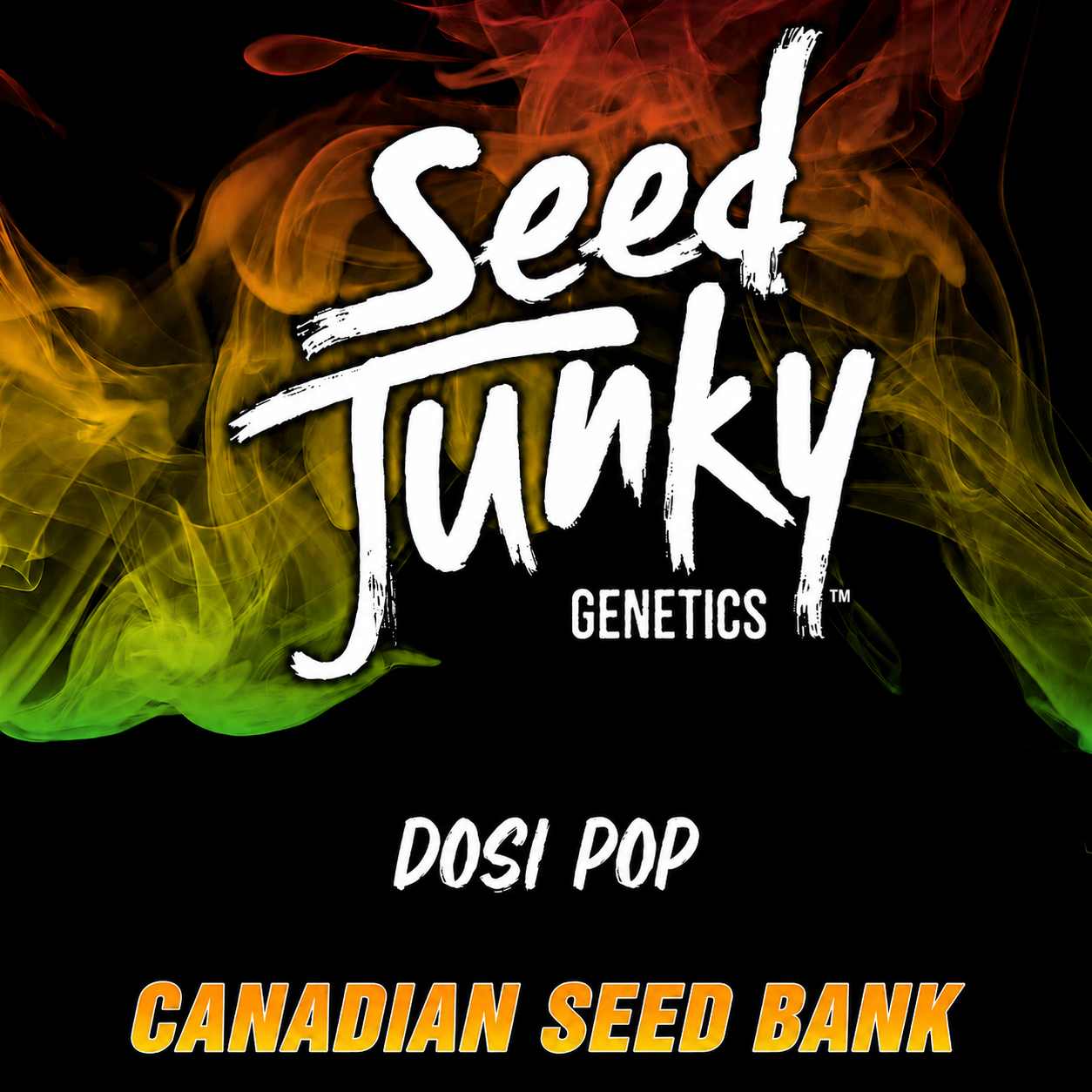 Buy Dosi Pop Hybrid Seeds By Seed Junky Genetics