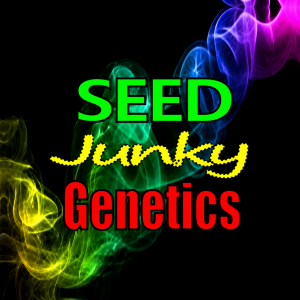 Buy Alien Mints x Permanent Marker feminized seeds by Seed Junky Genetics Online