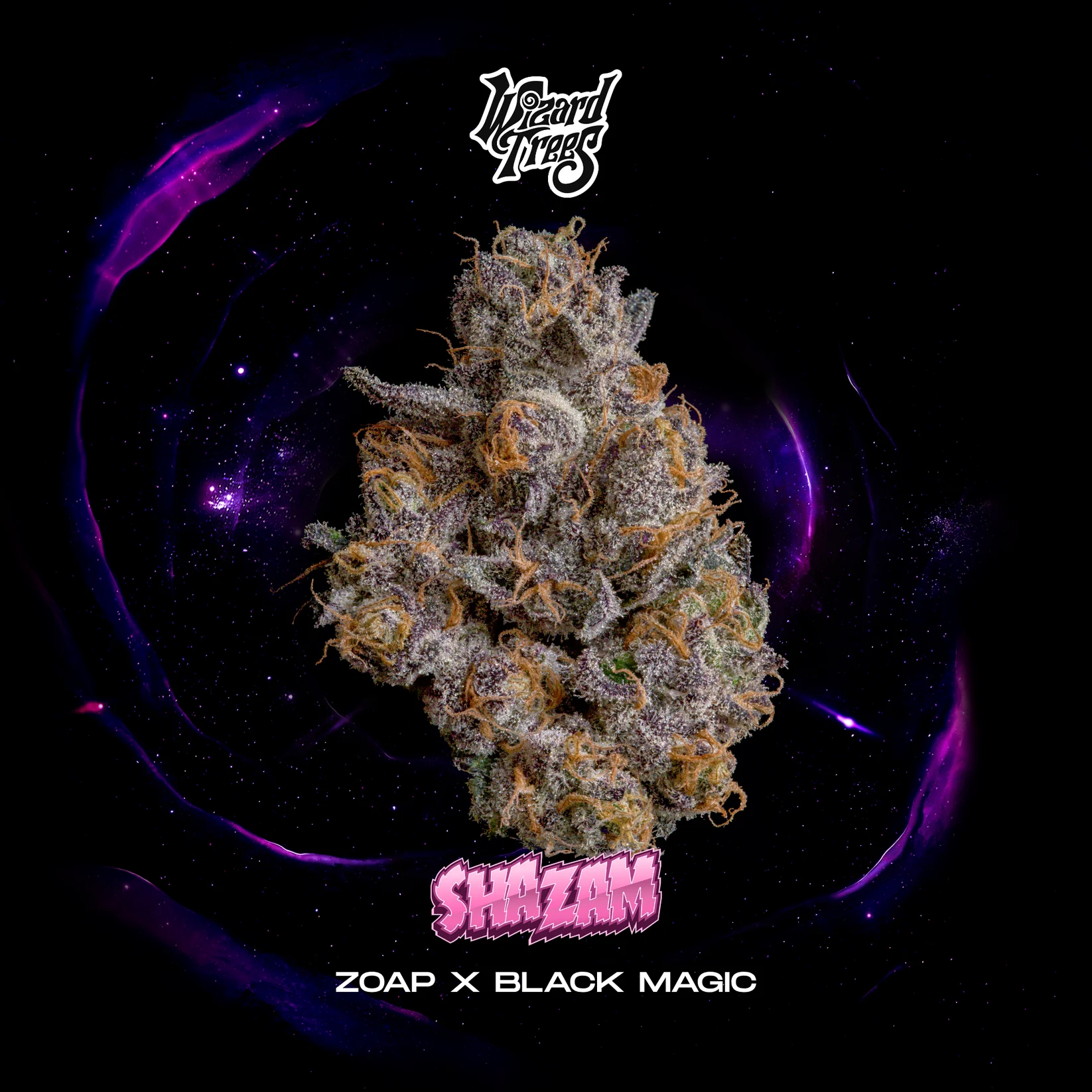 Buy Shazam Cannabis Seed by Wizard Trees Genetics Online