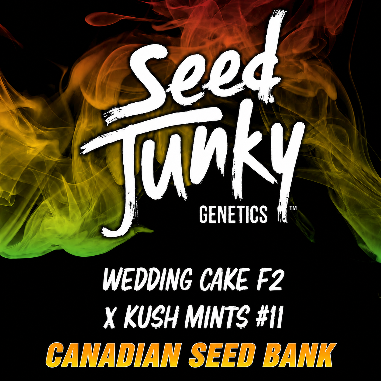 Wedding Cake F2 x Kush Mints #11 Regular Seeds By Seed Junky Genetics