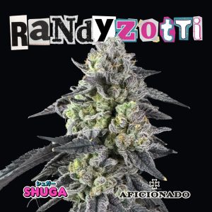Aficionado Randy Zotti Cannabis Seeds For Sale