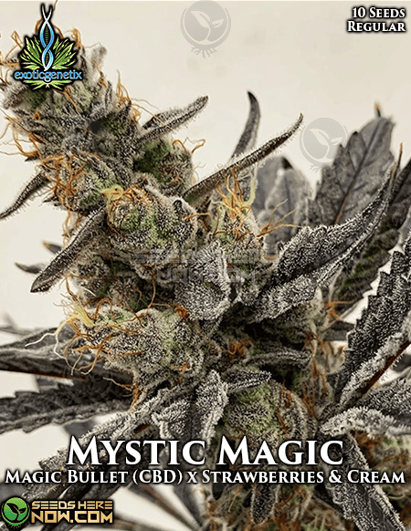 Mystic Magic