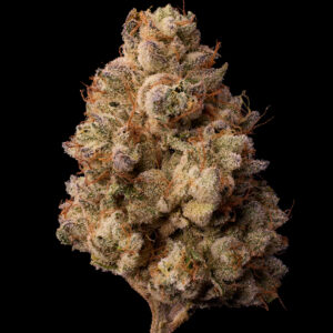 Buy Zebra Ztripez Cannabis Seeds