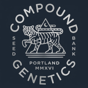 Buy Jockerz #31 feminized seeds by compound genetics Online