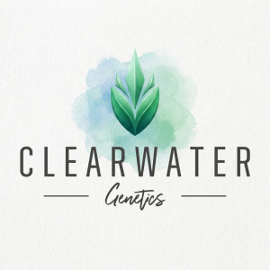 Buy Clearwater Genetics Seeds Online
