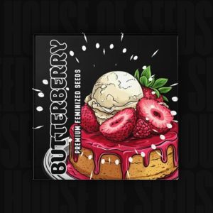 BUTTERBERRY