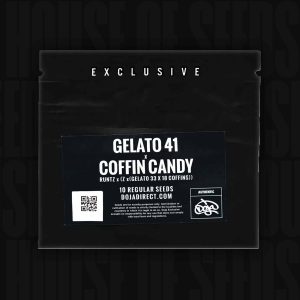 GELATO 41 X COFFIN CANDY