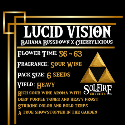 LUCID VISION