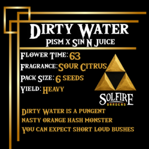 DIRTY WATER