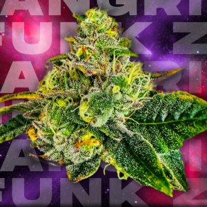 ZANGRIA FUNK