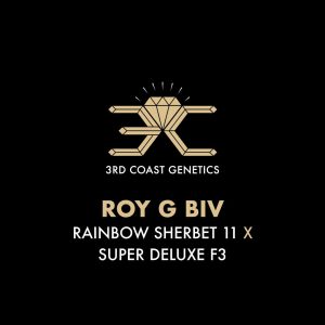 ROY G BIV