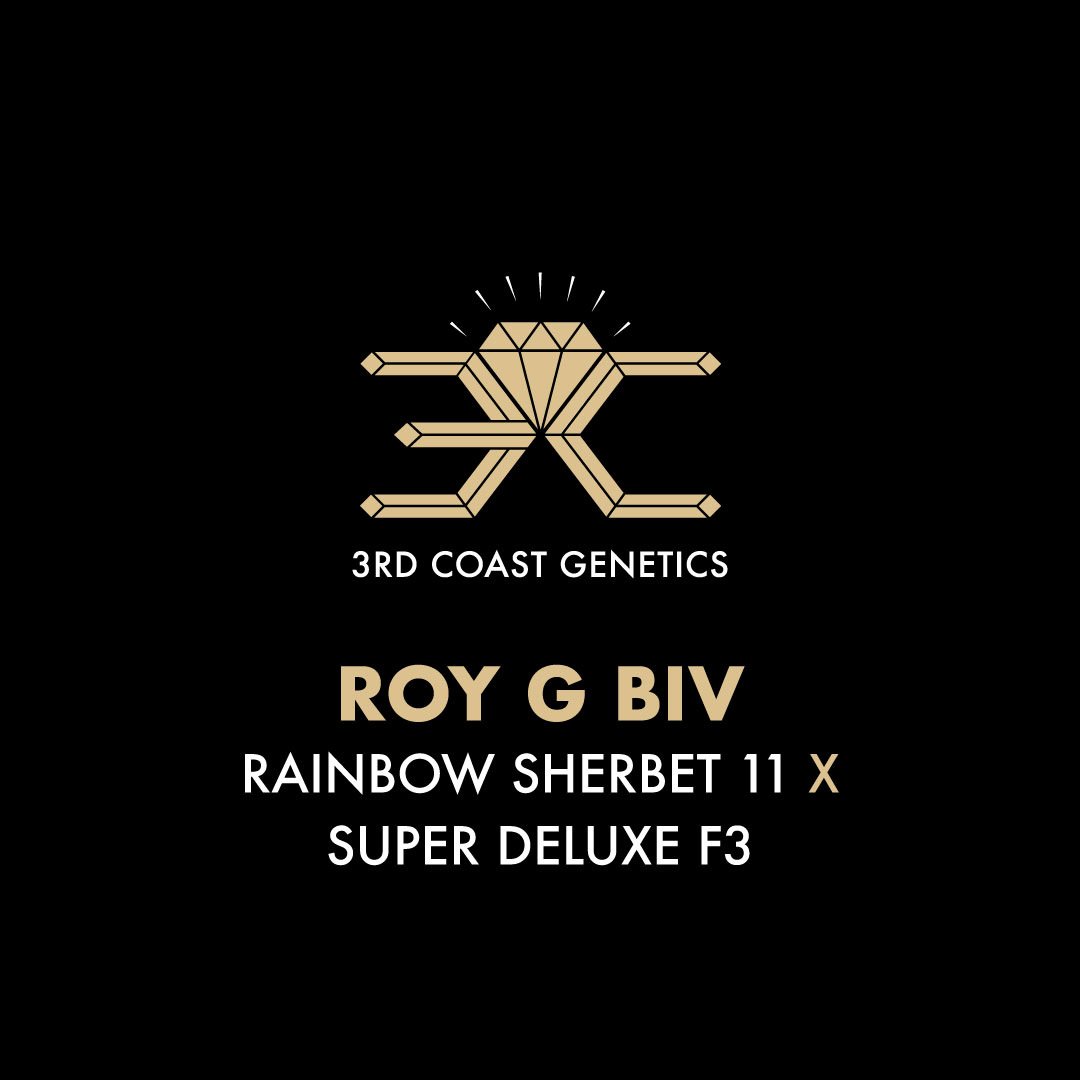 ROY G BIV