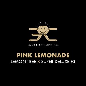 PINK LEMONADE
