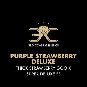 PURPLE STRAWBERRY DELUXE
