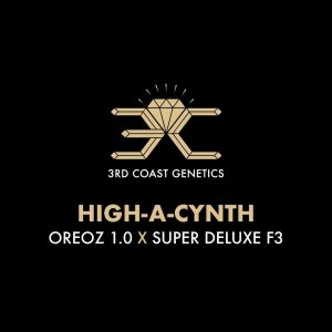 HIGH-A-CYNTH