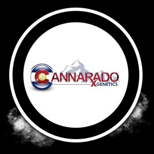 Cannarado Collab 2 for 1 Seeds