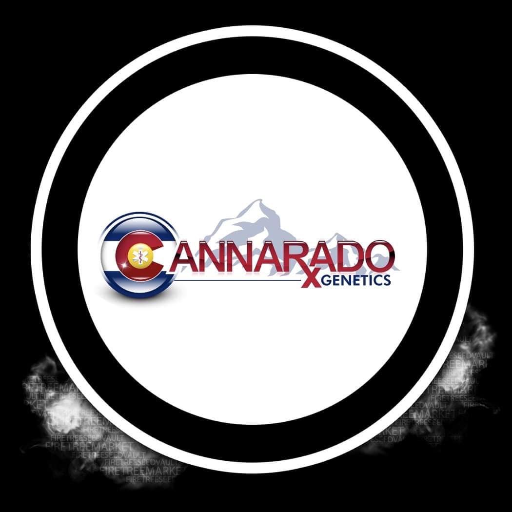 Cannarado Collab 2 for 1 Seeds