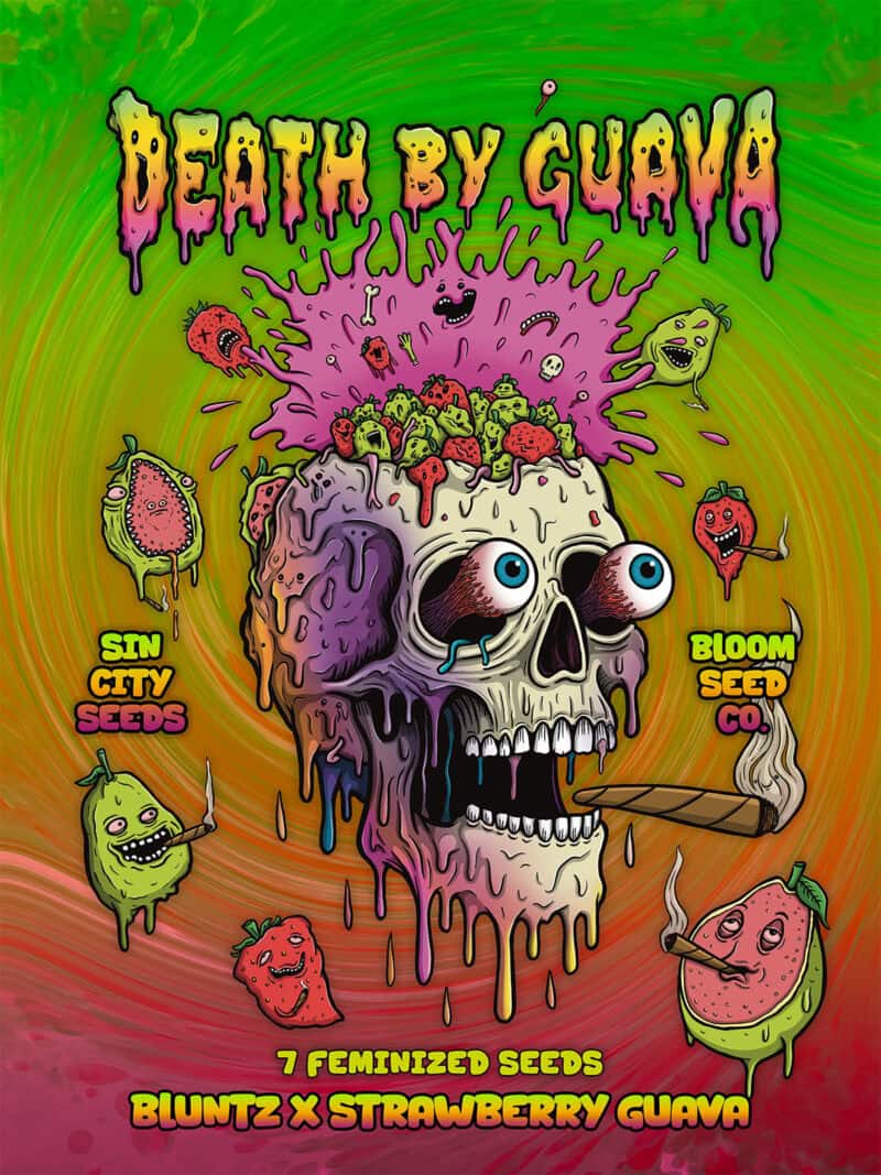 Buy Death By Guava Cannabis Seeds Online