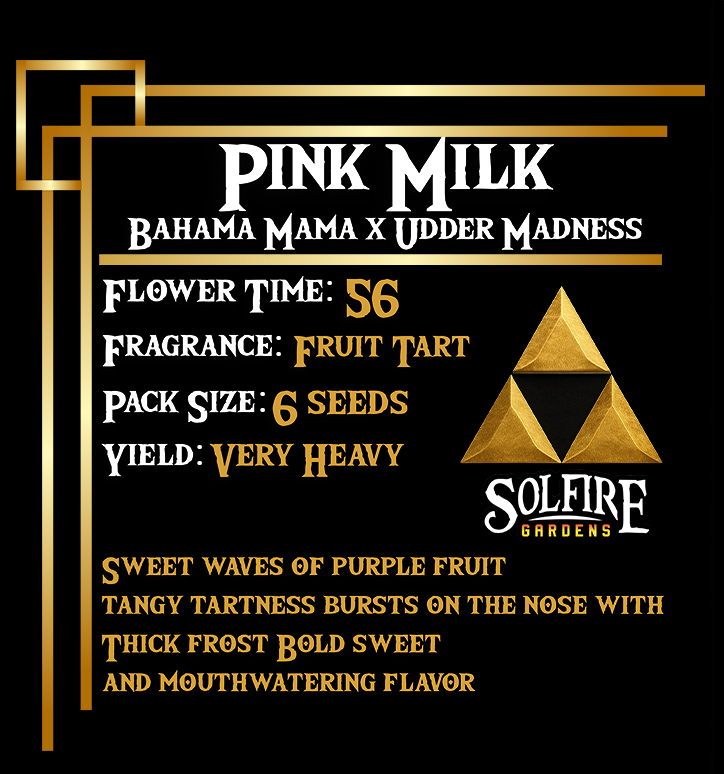 Buy Pink Milk Cannabis Seeds