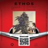 Buy Fuego’Z R1 Seeds