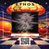 Buy Atomic Fuego R1 Cannabis Seeds