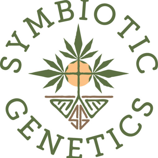 Buy Biscotti Fizz Cannabis Seeds