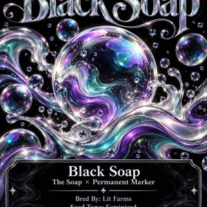 BLACK SOAP